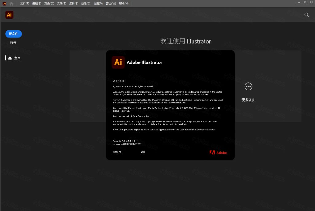 Adobe Illustrator 2025 v29.6.0插图8